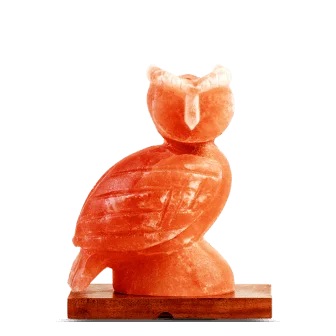 Owl Shape